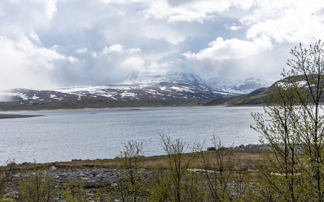 Auf zu den Fjorden!