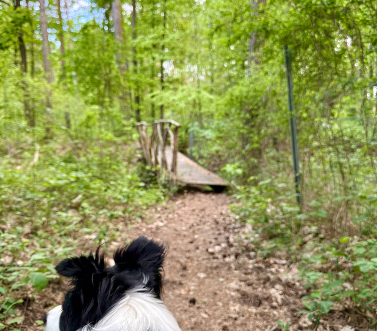 +Wenn einer (wieder) eine Reise tut…