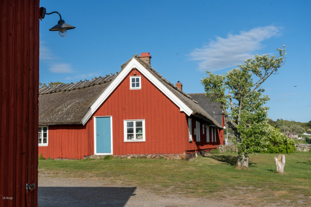 Torup Slott-16
