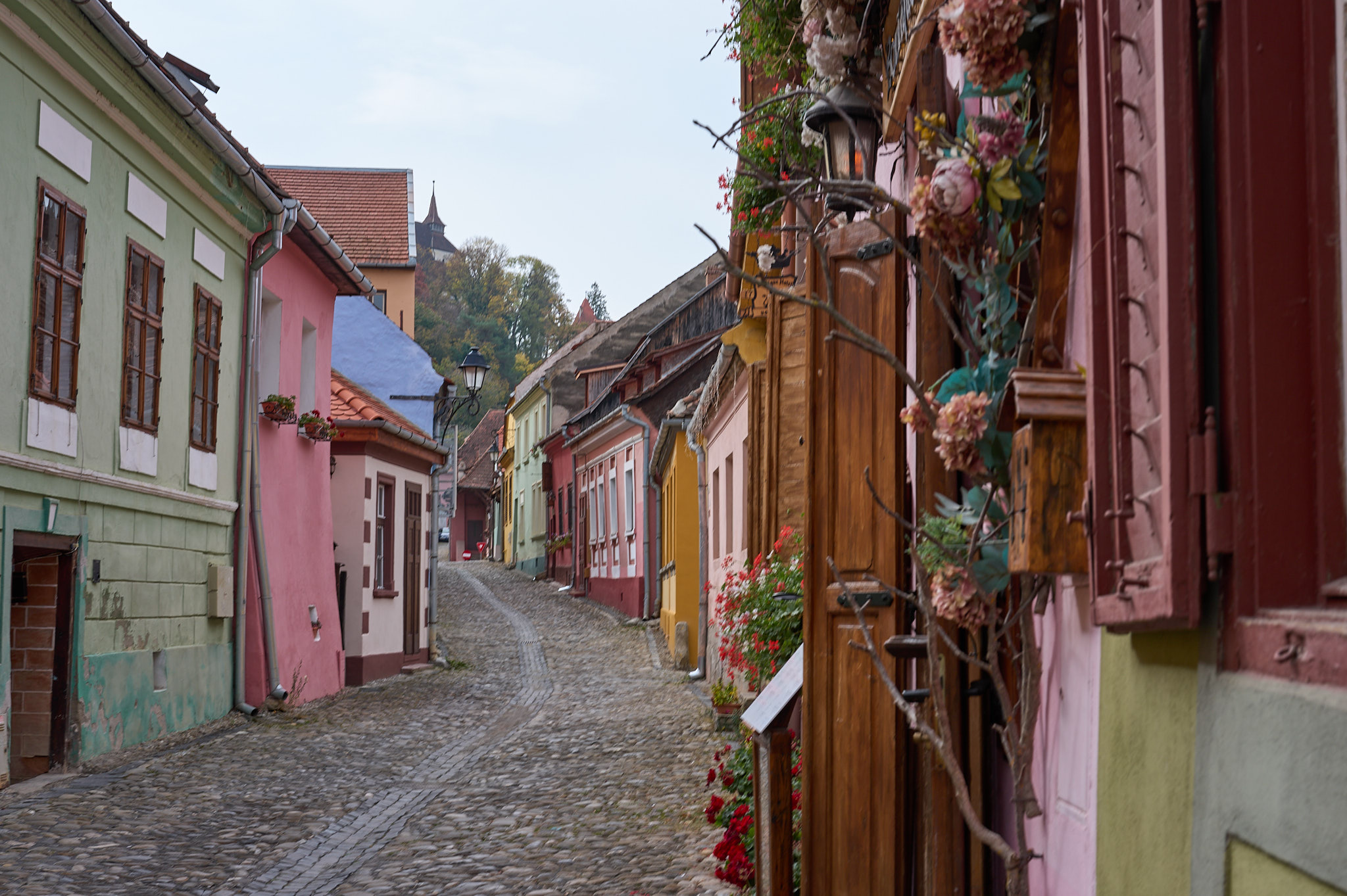 Puppenstübchen kontra Temesvar (Hauptstadt des Banat)